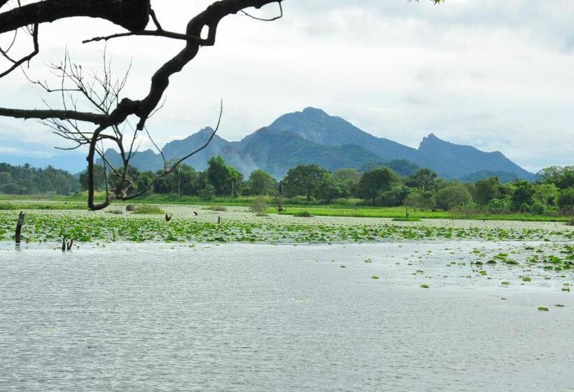 3 Bett Economy Zimmer, Sigiri Aliya Tree House