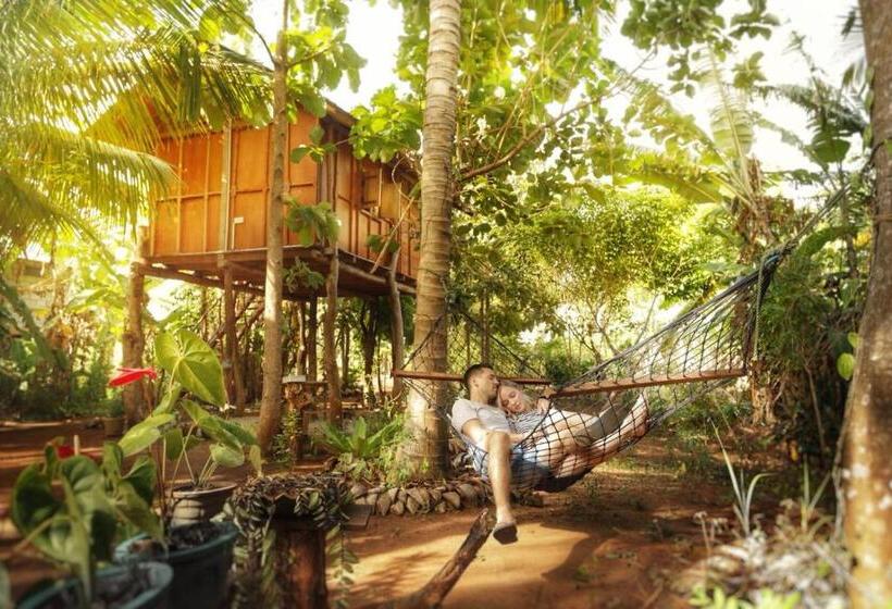 3 Bett Economy Zimmer, Sigiri Aliya Tree House