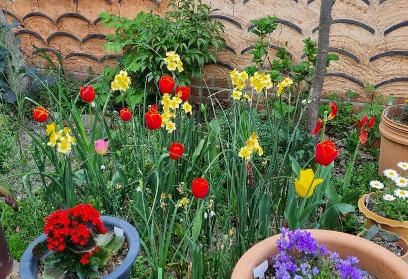 جناح عائلي, Dasomchae Hanok Stay