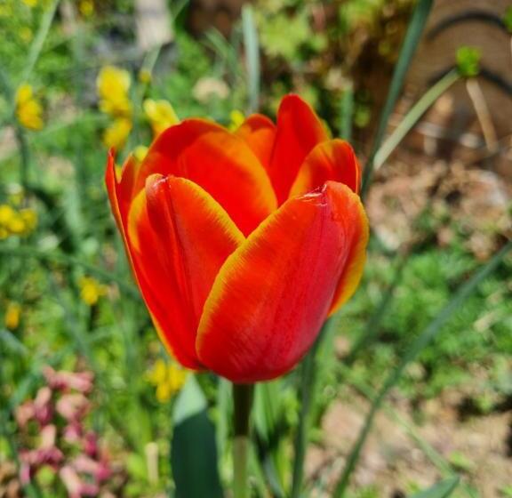 غرفة ديلوكس عائلية, Dasomchae Hanok Stay