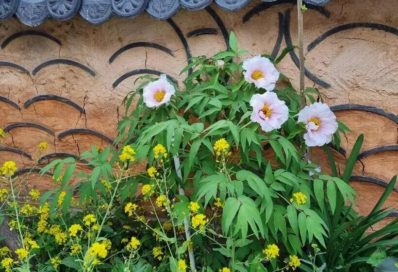 اتاق لوکس خانوادگی, Dasomchae Hanok Stay