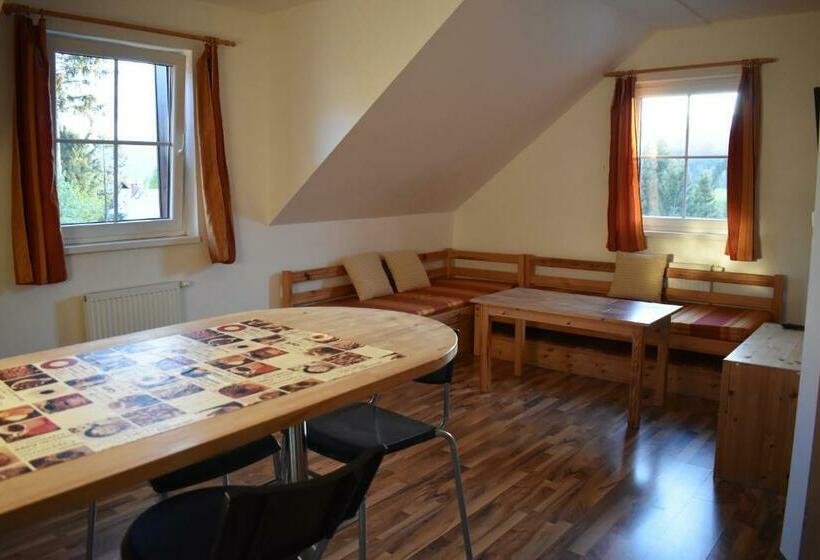 דירת דופלקס בת חדר שינה 1, Penzion Alpský Dům