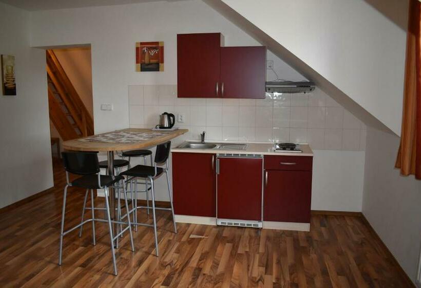 דירת דופלקס בת חדר שינה 1, Penzion Alpský Dům