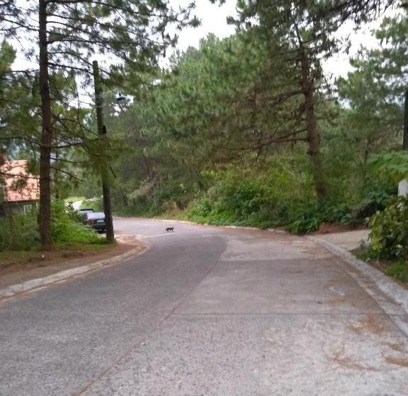 اتاق استاندارد, Koinonia Retreat Center