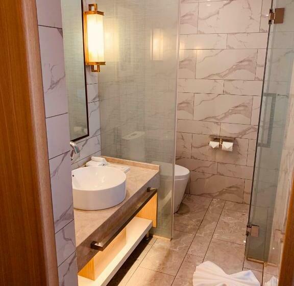 Quarto standard, Metropolo Jinjiang Wuhan Optics Valley Science And Technology Exhibition Center