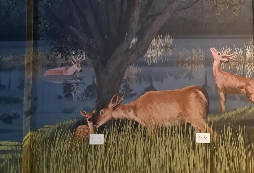 اتاق استاندارد, Mi Casa De Buenos Aires