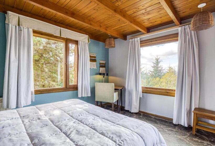 스탠다드 룸, Socialtel Bariloche   Formerly Selina Bariloche