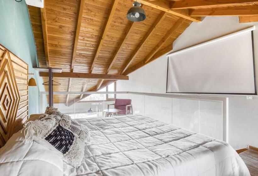 اتاق لوکس, Socialtel Bariloche   Formerly Selina Bariloche