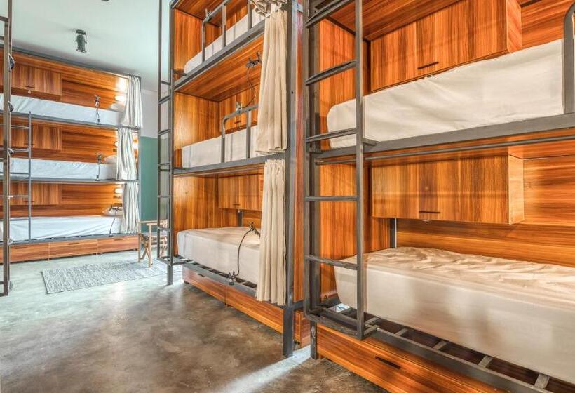 سرير فى غرفة مشتركه, Selina Madalena Sao Paulo