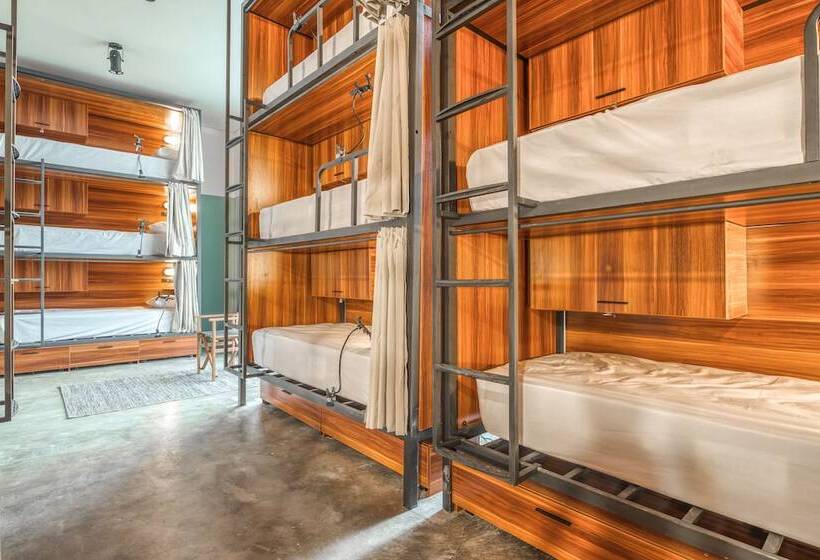 سرير فى غرفة مشتركه, Selina Madalena Sao Paulo