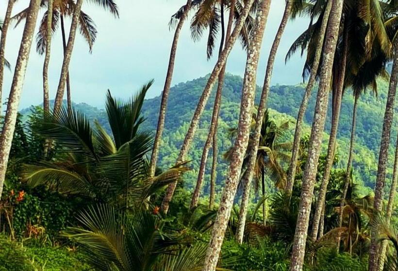 Номер Deluxe с Балконом, The Flame Tree Estate &