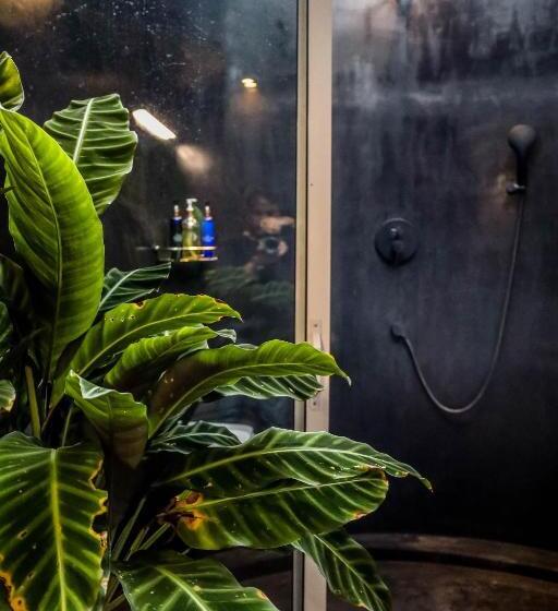 Семейный Номер, The Flame Tree Estate &