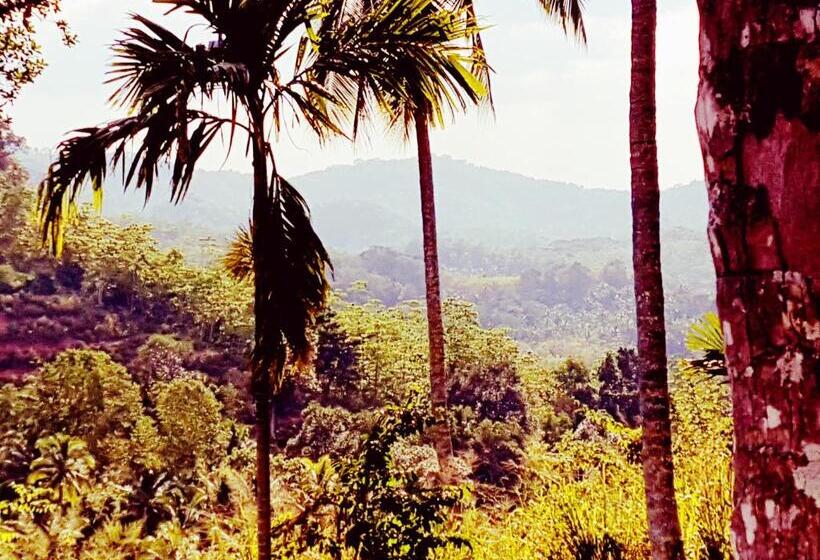 Номер Стандарт с Террасой, The Flame Tree Estate &