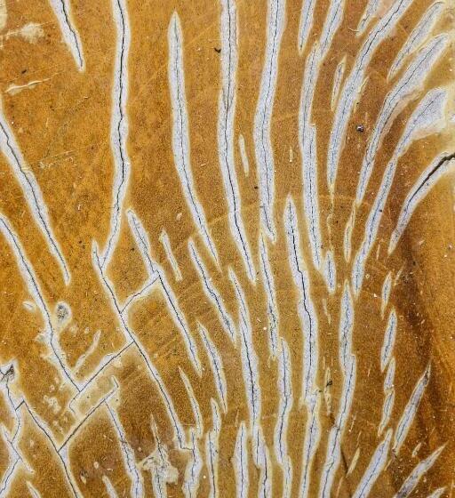 Номер Стандарт с Террасой, The Flame Tree Estate &