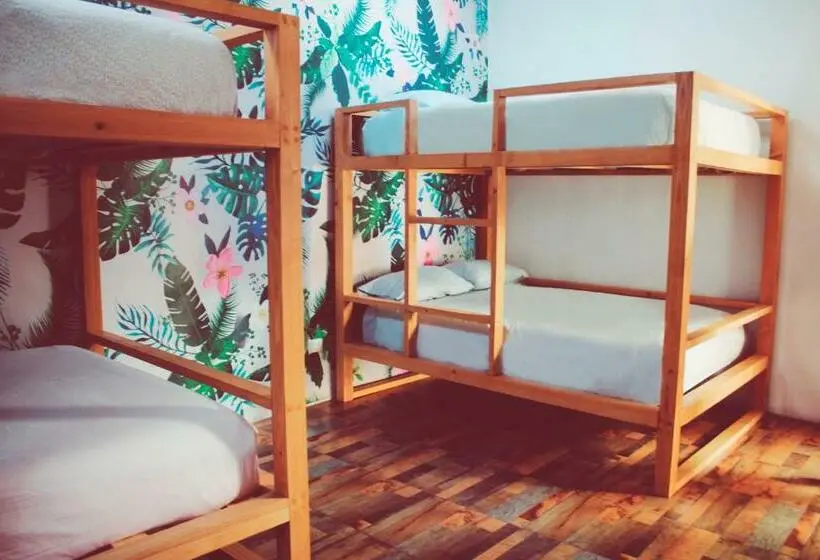 スタンダード４人部屋, Hoja Santa Posada