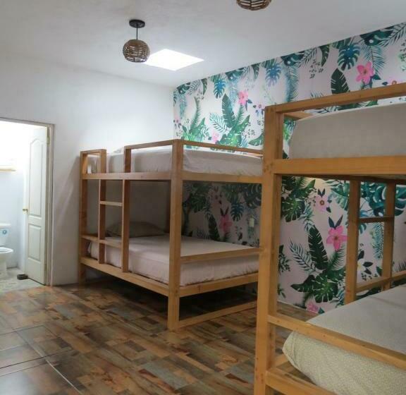 スタンダード４人部屋, Hoja Santa Posada