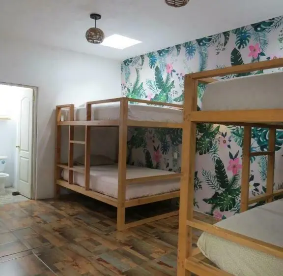 スタンダード４人部屋, Hoja Santa Posada