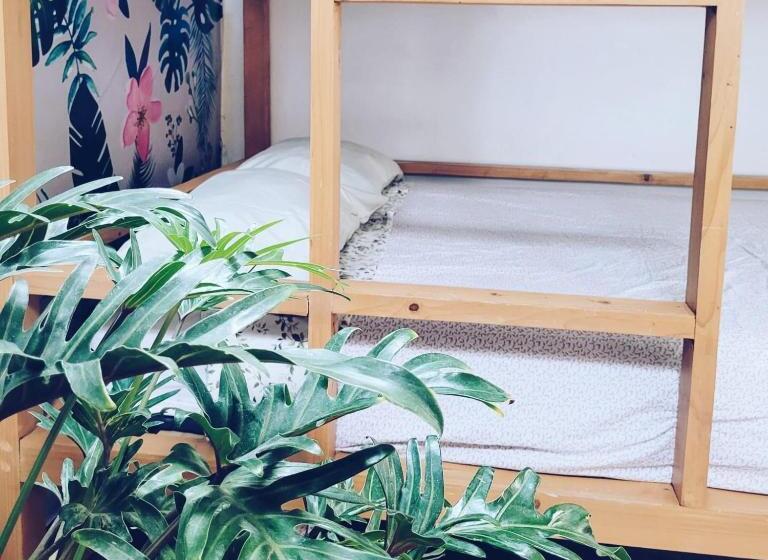 スタンダード４人部屋, Hoja Santa Posada