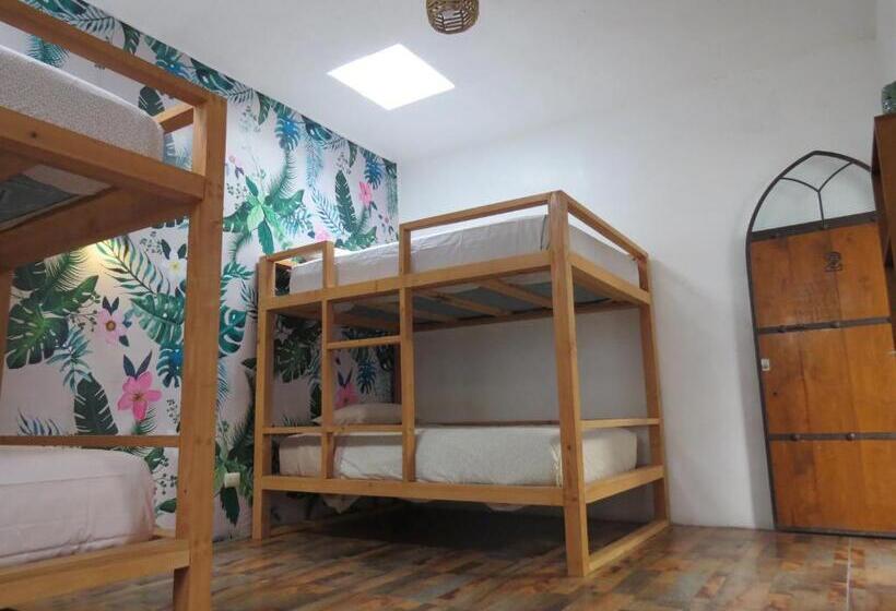 スタンダード４人部屋, Hoja Santa Posada