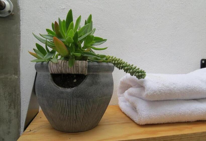 スタンダード４人部屋, Hoja Santa Posada