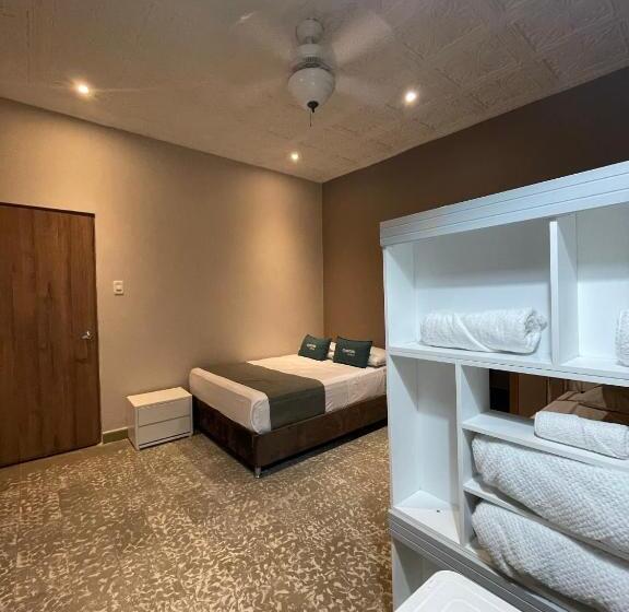 اتاق سوپریور چهار تخته, Casa Roman