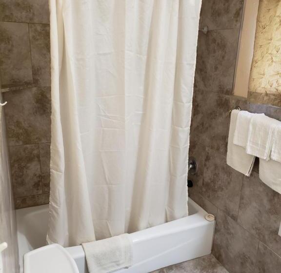 חדר דלוקס, Encino Motel