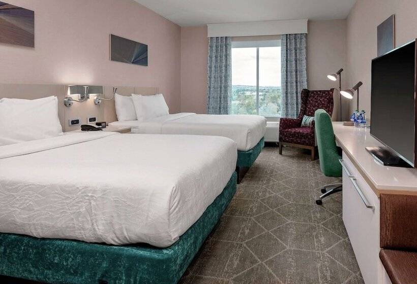 스탠다드 룸 더블 침대 2개, Hilton Garden Inn Colorado Springs Downtown