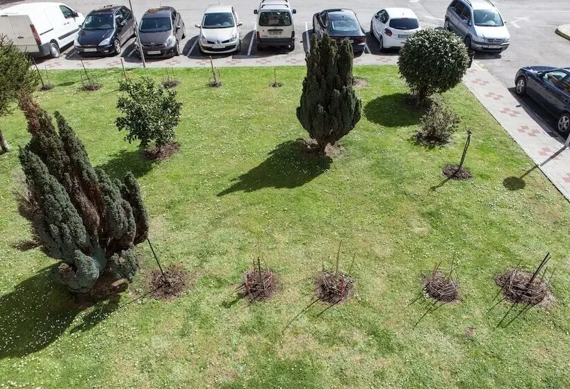 Standardzimmer mit Terrasse, Los Rosales