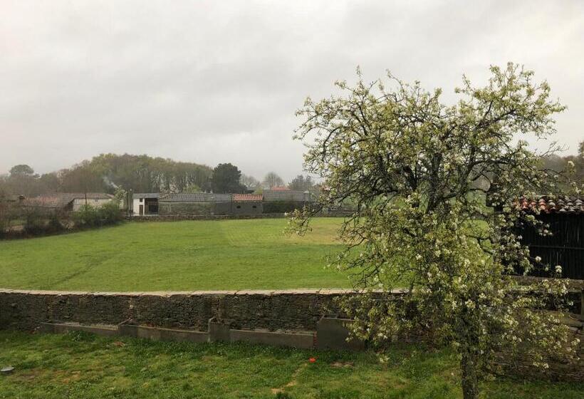 이코노미 룸, Pazo De Laia