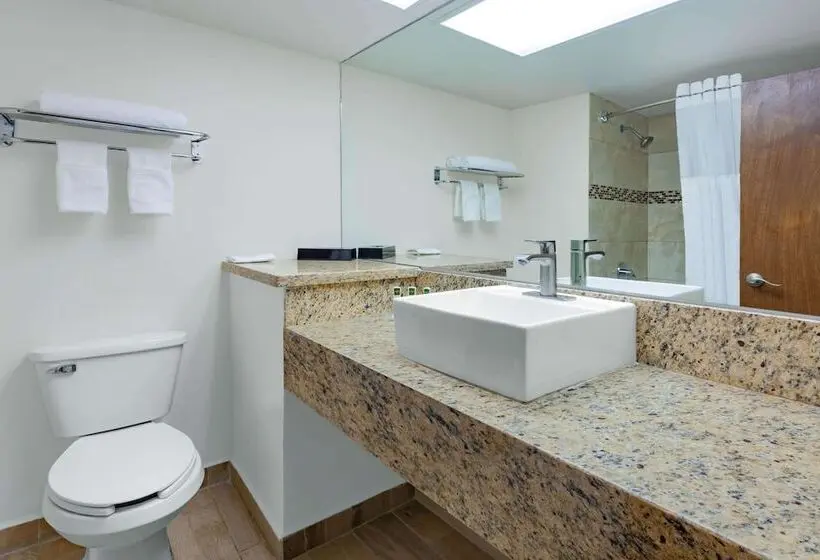 ビジネスルーム, Days Inn By Wyndham Piedras Negras