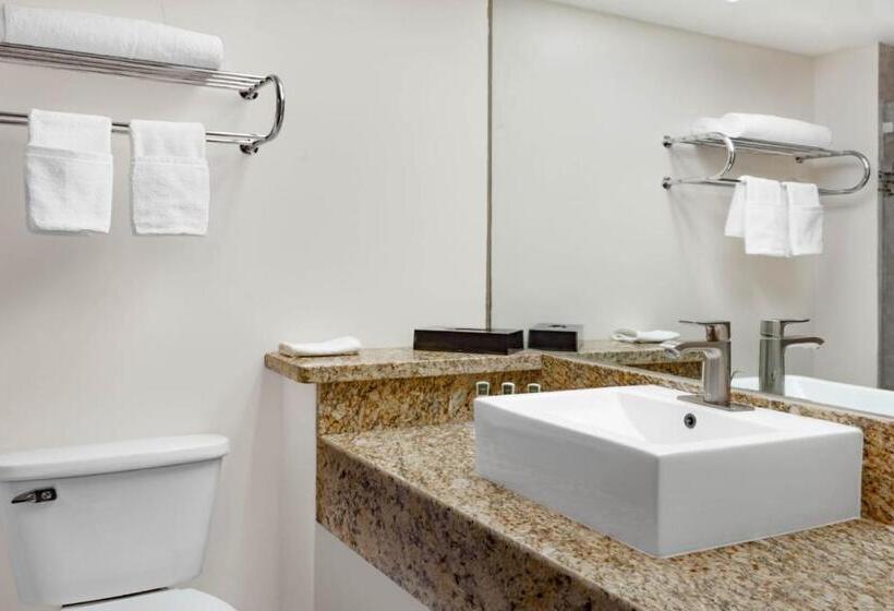 스탠다드 룸 킹사이즈 침대, Days Inn By Wyndham Piedras Negras