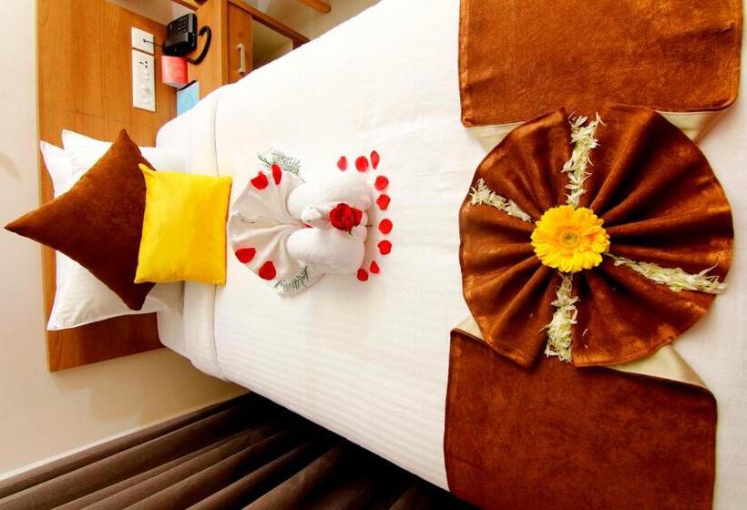 标准单人间, Panacea Ventures