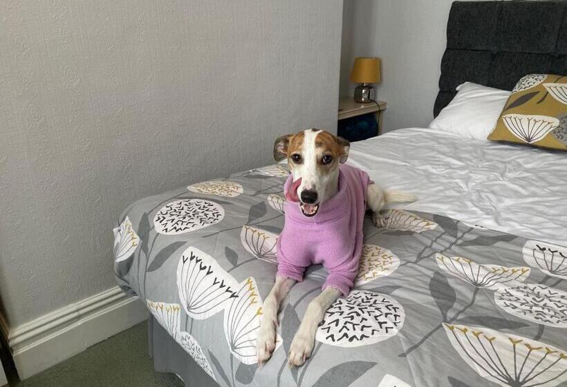 חדר סטנדרט עם מיטת קינג, Winchester House