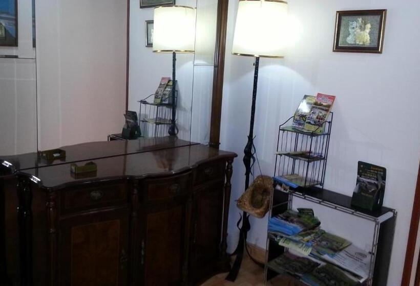 스탠다드 싱글 룸, Pension Paulina