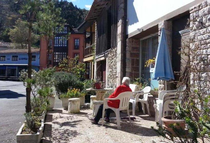 스탠다드 싱글 룸 공동욕실, Pension Paulina