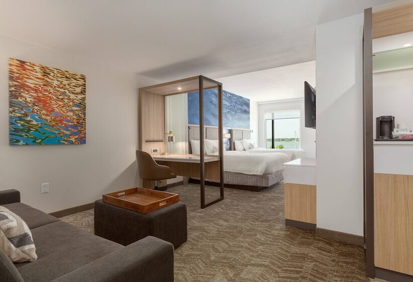 סוויטה עם נוף, Springhill Suites By Marriott Bradenton Downtown/riverfront