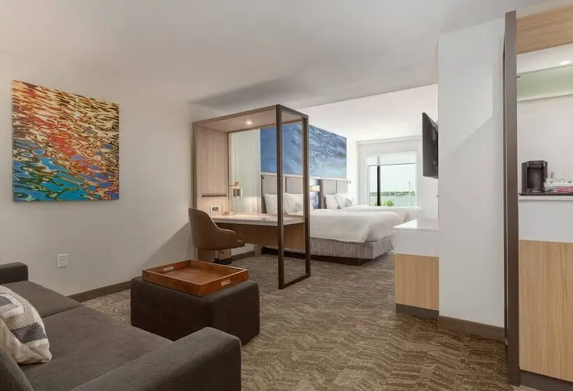 景色の見えるスイートルーム, Springhill Suites By Marriott Bradenton Downtown/riverfront
