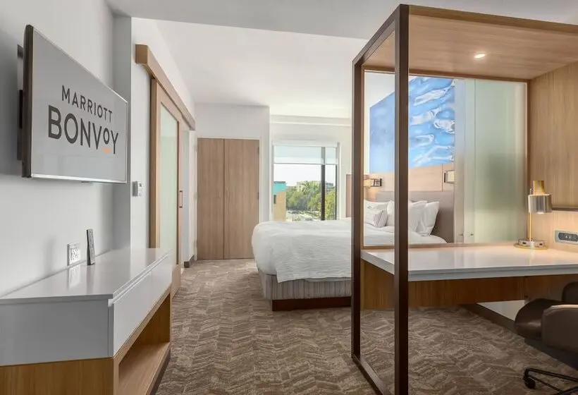 スイート, Springhill Suites By Marriott Bradenton Downtown/riverfront