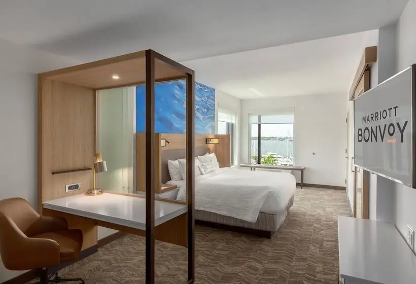 景色の見えるスイートルーム, Springhill Suites By Marriott Bradenton Downtown/riverfront