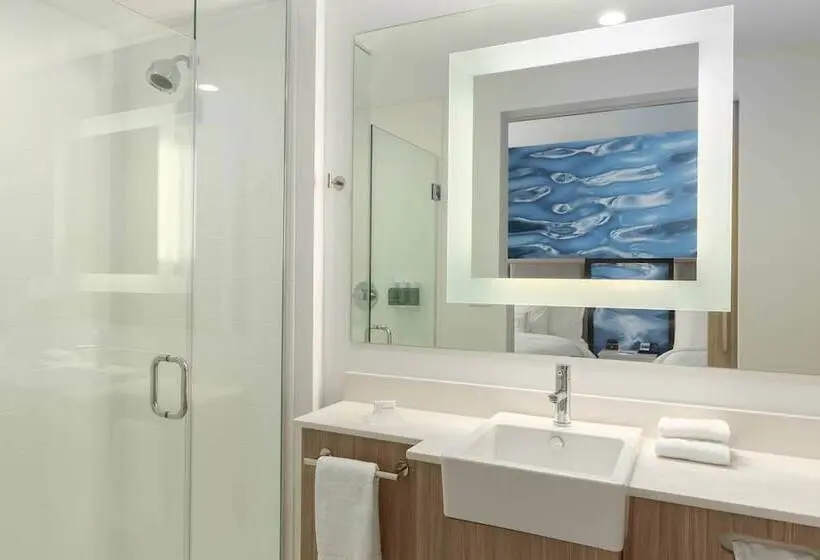 スイート, Springhill Suites By Marriott Bradenton Downtown/riverfront