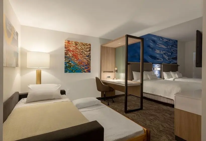 スイート, Springhill Suites By Marriott Bradenton Downtown/riverfront