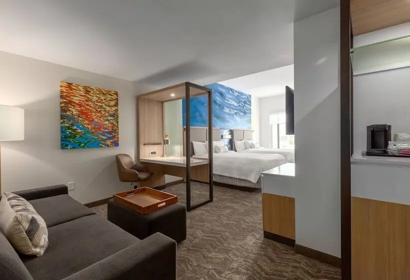 スイート, Springhill Suites By Marriott Bradenton Downtown/riverfront