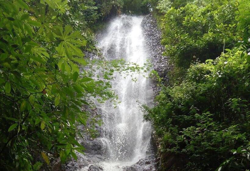 Номер Стандарт с Гидромассажем, Viva Brotas
