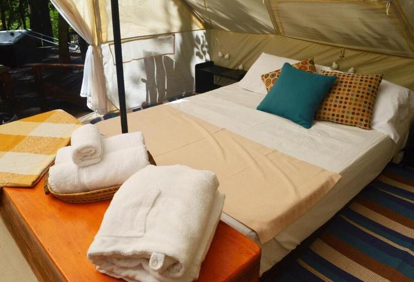 Standard Tent, Viva Brotas