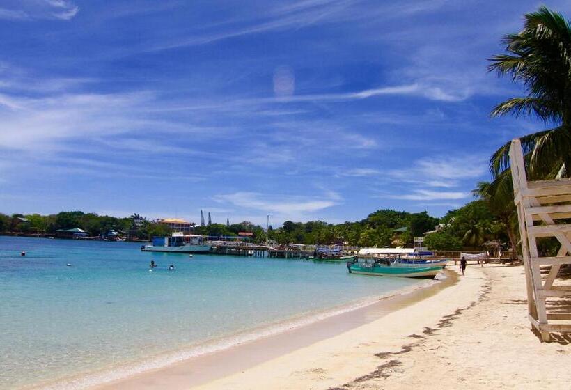 اتاق استاندارد با چشمانداز باغ, Mame Trees