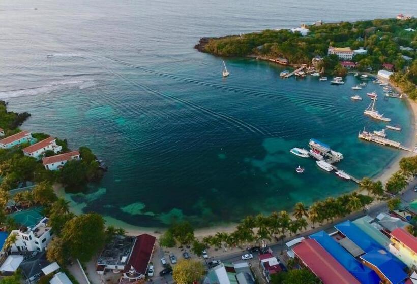 اتاق استاندارد با چشمانداز باغ, Mame Trees