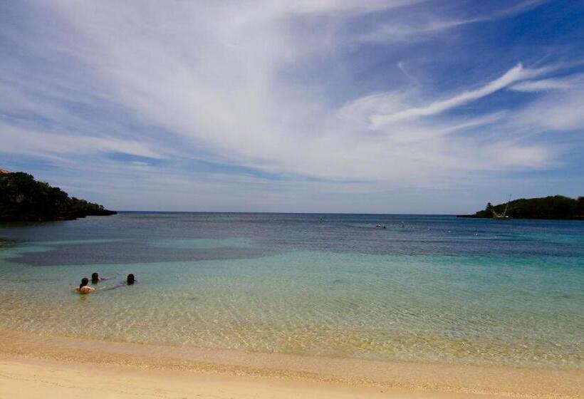 استودیوی استاندارد, Mame Trees