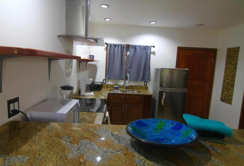 استودیوی استاندارد, Mame Trees