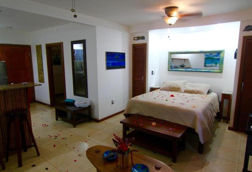 استودیوی استاندارد, Mame Trees