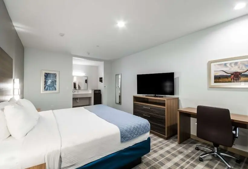 デラックスルーム, Americas Best Value Inn & Suites Porter North Houston